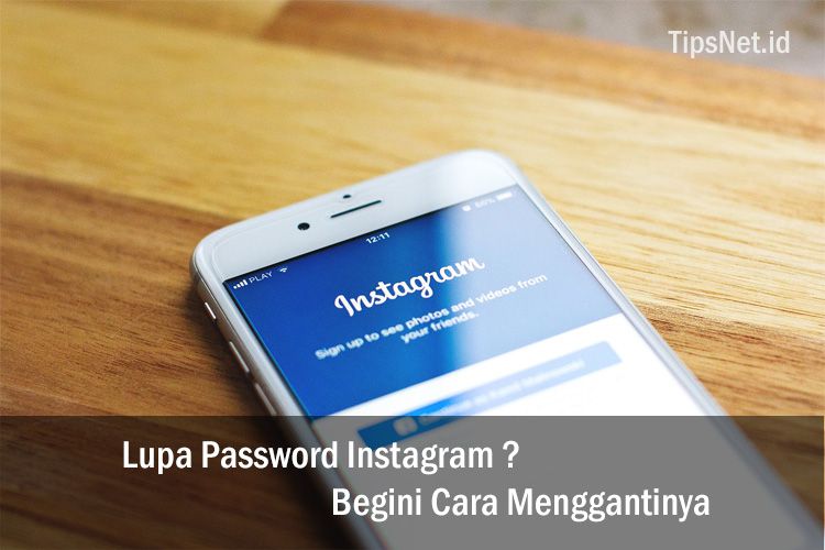 Lupa Password Akun Instagram? Berikut Cara Mudah Menggantinya