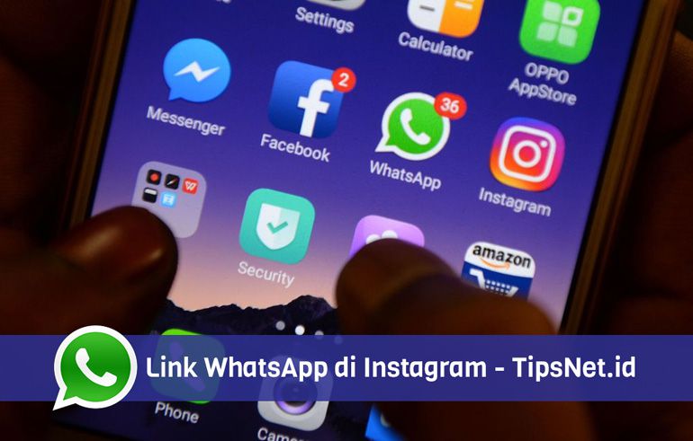 Cara Membuat Link WhatsApp Tampil di Bio Instagram • TipsNet.id